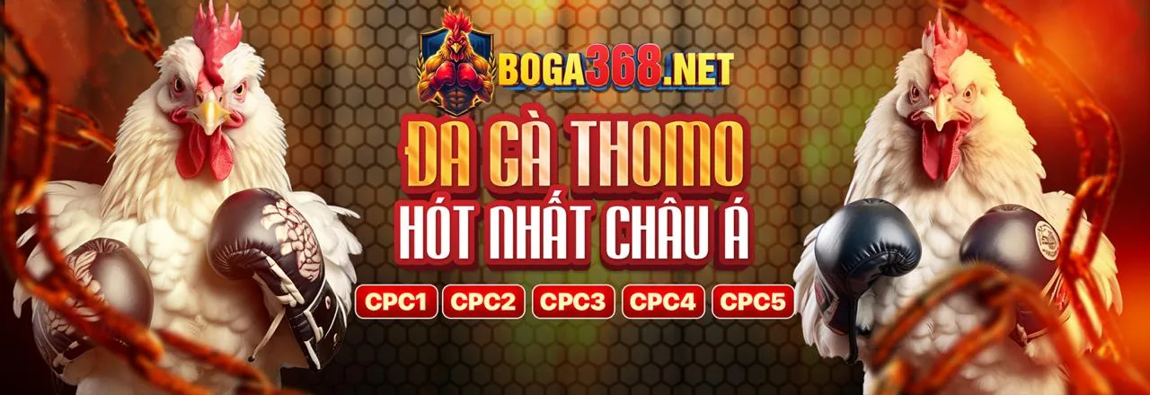Đá Gà Trực Tuyến Hấp Dẫn tại benca29 đăng nhập